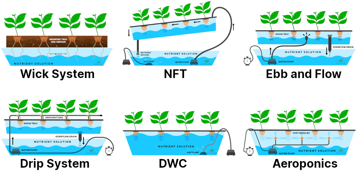 A Guide To The Six Hydroponic Methods Gardenify 